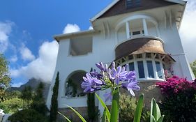 Abbey Manor Luxury Guesthouse